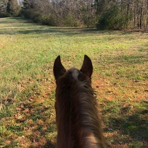 Meet your Posher, Jodi